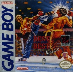 Best Of The Best - Championship Karate ROM, SNES Super Nintendo ...