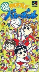 Multi-Play Volleyball