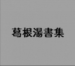 Neon Genesis Evangelion Slideshow E (PD)