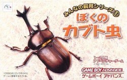 Our Breeding Series – My Beetle (Eurasia)