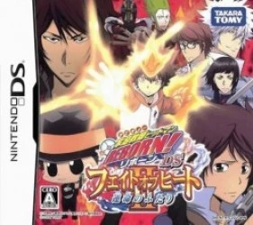 Katekyo Hitman REBORN! DS – Fate Of Heat – Honoo No Sadame Rom