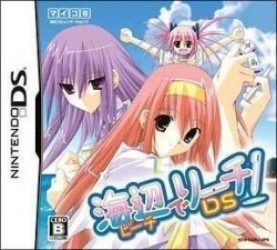 Beach De Reach! DS (MHS) Rom