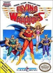 Flying Warriors Rom