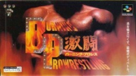 Gekitou Burning Wrestling Rom