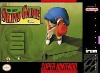 Irem Skins Game, The Rom