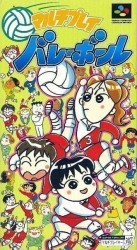 Multi-Play Volleyball Rom