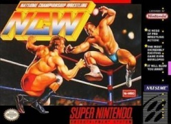 Natsume Championship Wrestling Rom