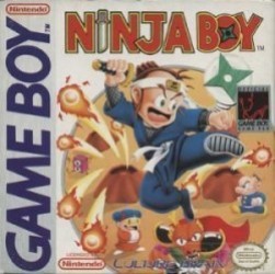 Ninja Boy Rom