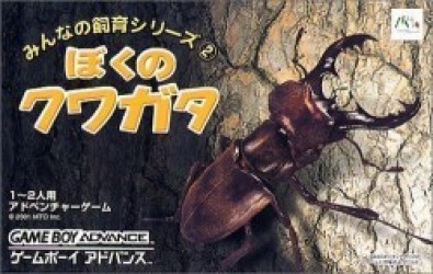 Our Breeding Series – My Ameba (Eurasia) Rom