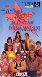 Super Fire Pro Wrestling 2 Rom
