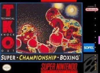 TKO Super Championship Boxing Rom