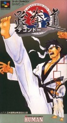 Taekwon-Do Rom