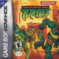 Teenage Mutant Ninja Turtles Double Pack Rom