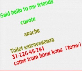 Toilet (PD) Rom