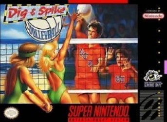Volleyball Twin Rom