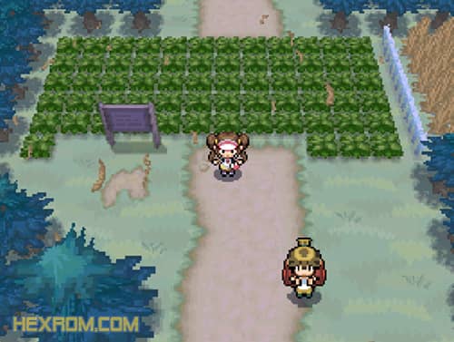 Pokemon White 2 NTEVO ROM - Rombats